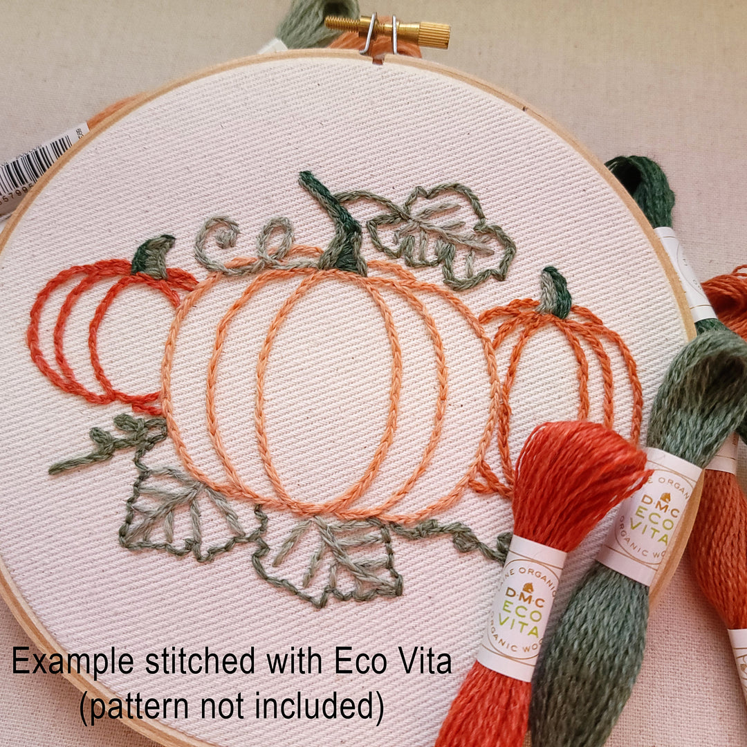Winter Color Set - DMC Eco Vita 100% Organic Wool